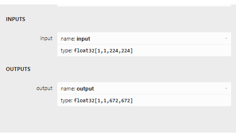 ONNX model inputs and outputs without pre and post processing